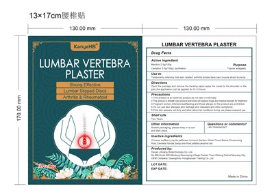 Lumbar Vertebra Plaster Label (Lumbar Vertebra Plaster Label(1))